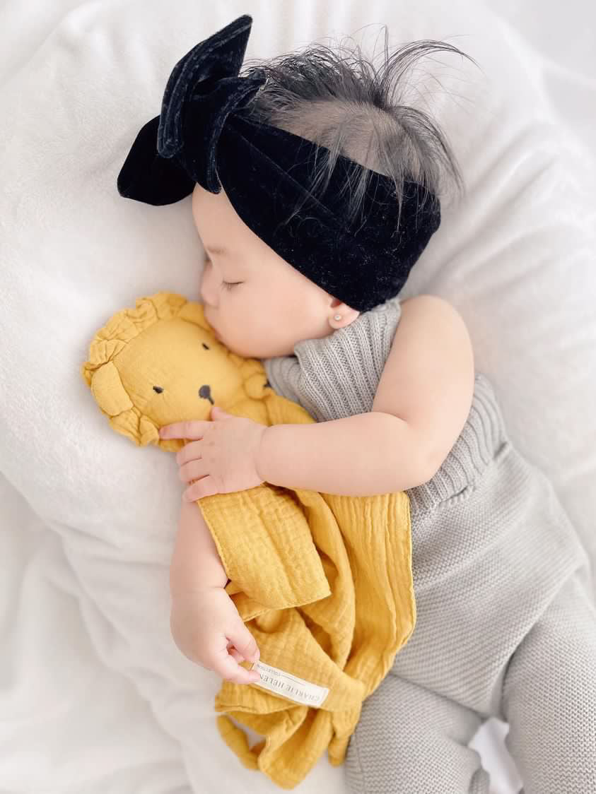 Lion | Comforter