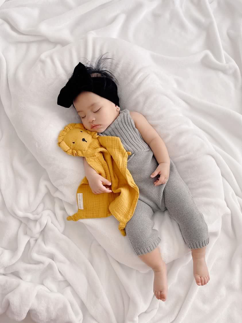 Lion | Comforter