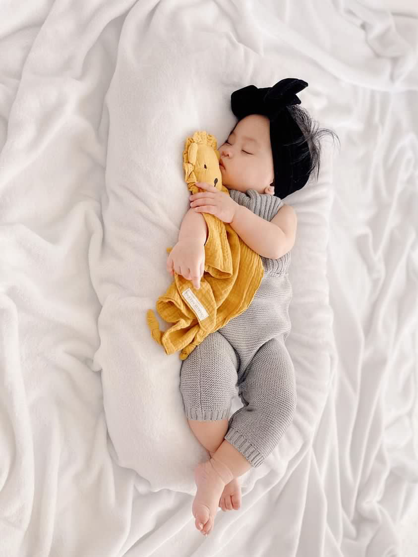 Lion | Comforter