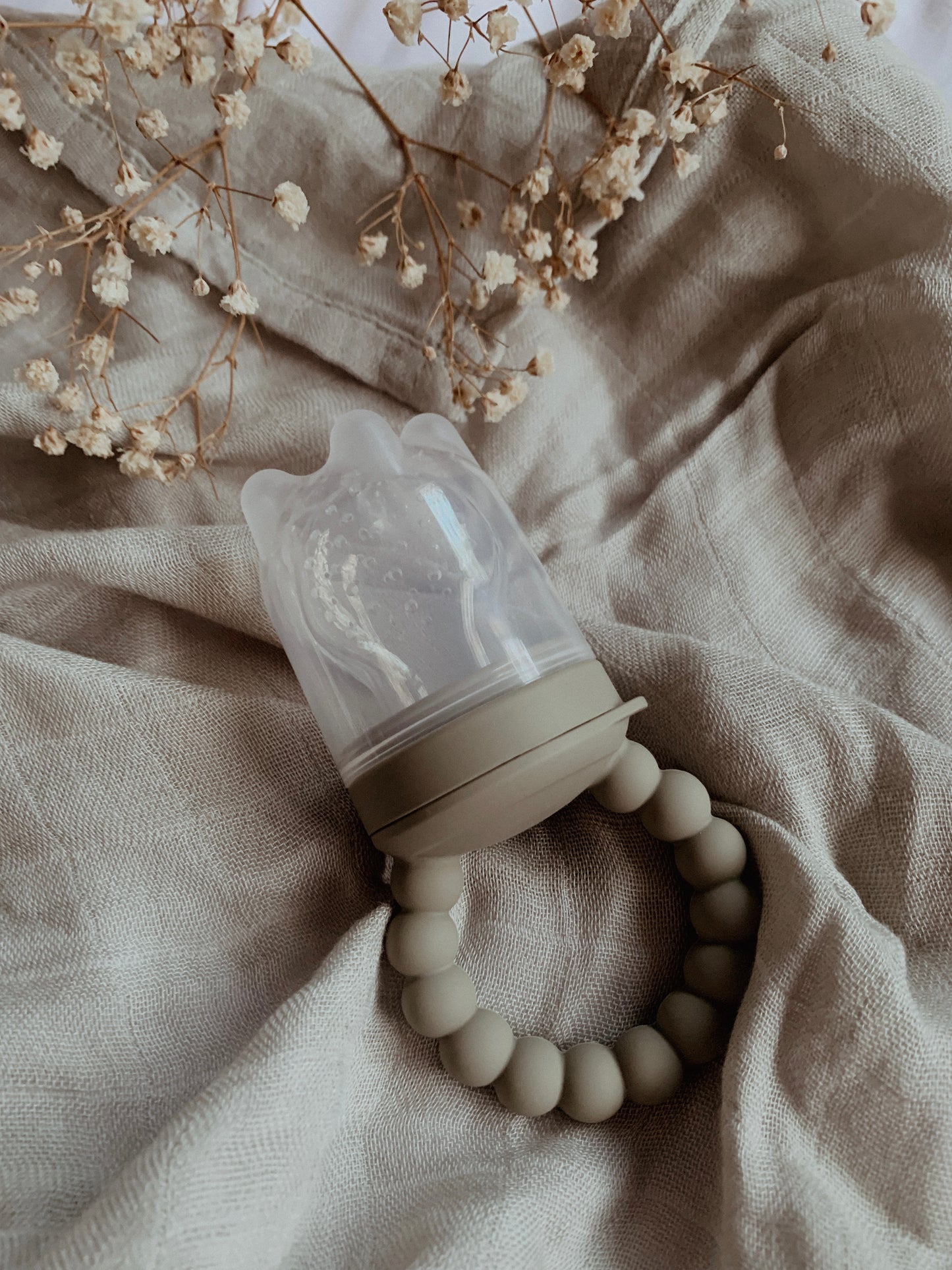 Baby Teether | Feeder with Cover